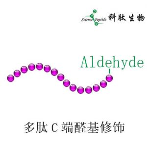 醛基化多肽|多肽C端醛基修饰|Aldehyde peptide